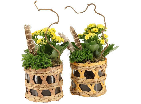 Easter wicker basket medium - Kalanchoe
