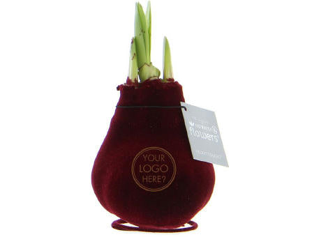 No Water Flowers® - Velvet Touchz®