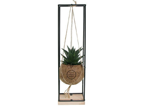 Kokodama® - Hanging easy care mix (S)