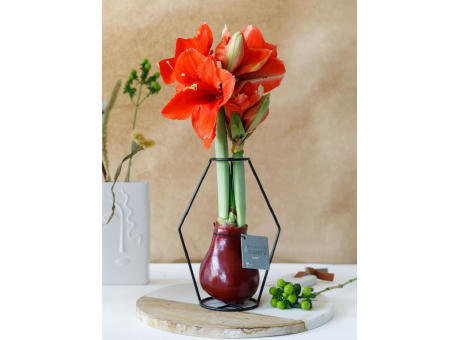 No Water Flowers® - Formz modern