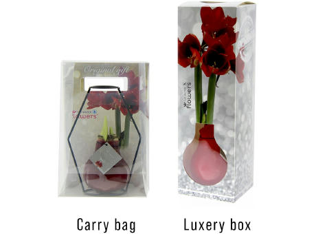 No Water Flowers® - Formz modern
