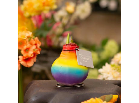 No Water Flowers® - Rainbow