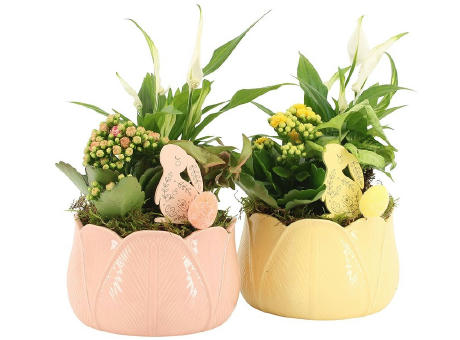 Easter colourful ceramic large - Kalanchoe