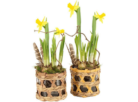 Easter wicker basket medium - Narzisse
