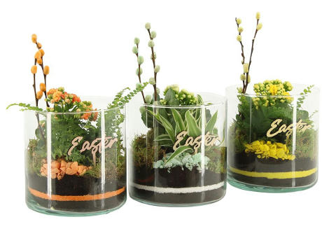 Easter glass large - Kalanchoe