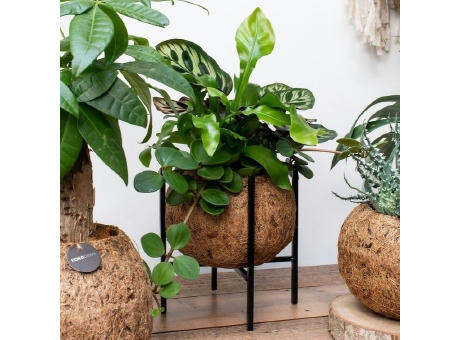 Kokodama® - Industrial easy green mix (M)