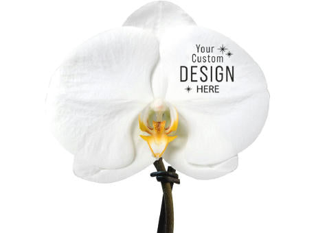 Message Printz® - Singolo Orchidee