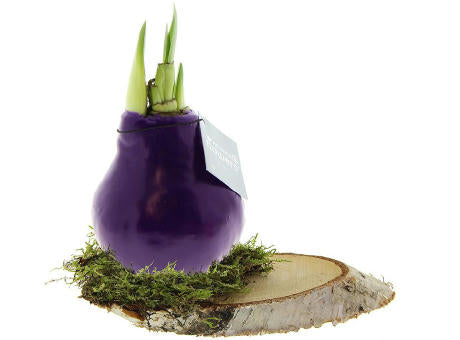 No Water Flowers® - Waxz® on wood