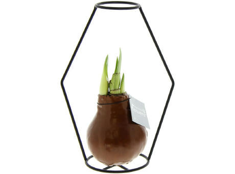 No Water Flowers® - Formz modern