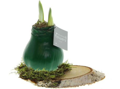 No Water Flowers® - Waxz® on wood