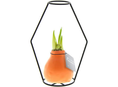 No Water Flowers® - Formz modern