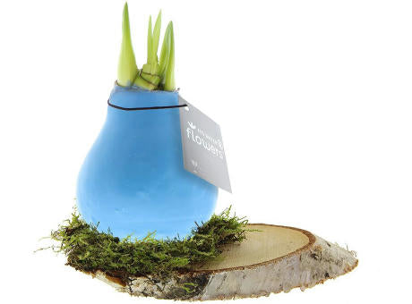 No Water Flowers® - Waxz® on wood