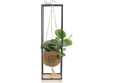 Kokodama® - Hanging green mix (S)