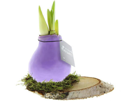No Water Flowers® - Waxz® on wood