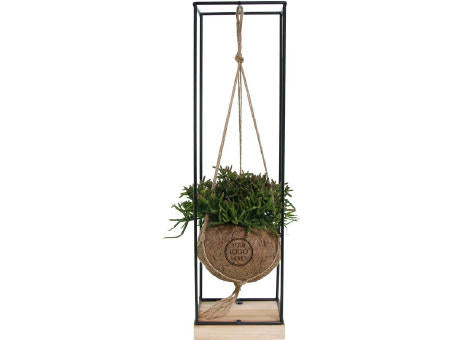 Kokodama® - Hanging easy green mix (M)