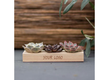 Tiny Treasurez® - Trio wood