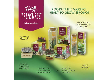 Tiny Treasurez® - Trio wood