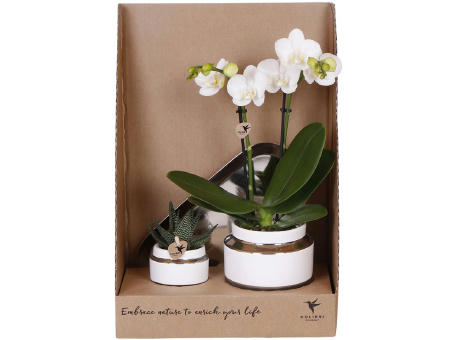 Botanical Giftset small - Luxury Silver