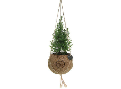 Kokodama® - Christmas tree (S)