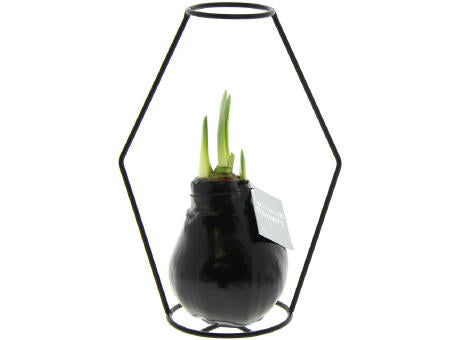 No Water Flowers® - Formz modern