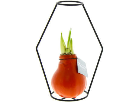 No Water Flowers® - Formz modern