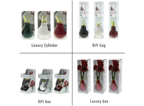 No Water Flowers® - Printz Frohe Weihnachten mix