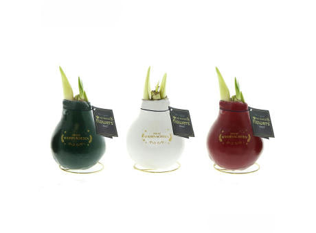 No Water Flowers® - Printz Frohe Weihnachten mix