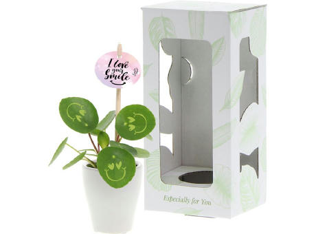 Smylieplant® - Love im Keramiktopf (small)