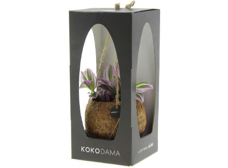 Kokodama® - Green mix (S)