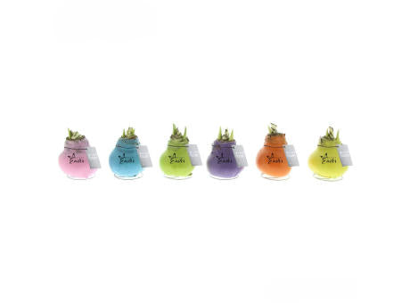 No Water Flowers® - Printz Happy Easter mix