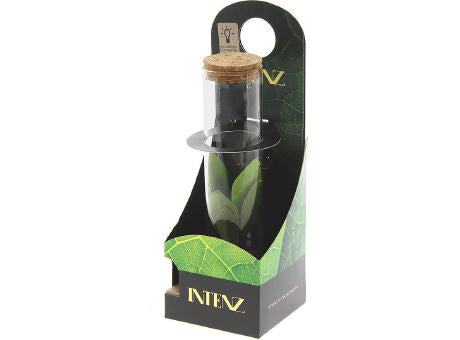 Hydroponic plants - Light bottle in giftbox