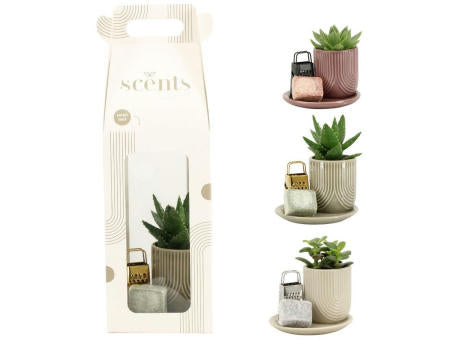 Aromatic Giftset small