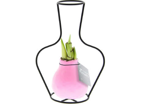 No Water Flowers® - Formz classic