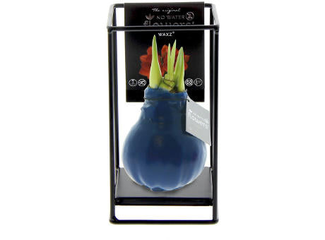 No Water Flowers® - Formz industrial