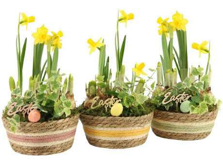 Easter basket large - Narzisse