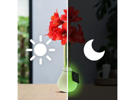 No Water Flowers® - Glowz