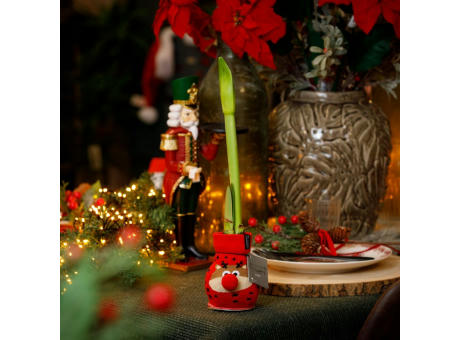 No Water Flowers® - Fashionz Xmas Fun mix