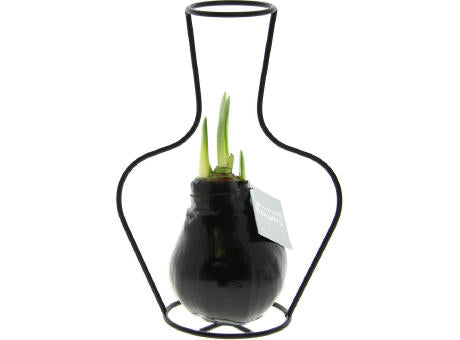 No Water Flowers® - Formz classic