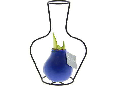No Water Flowers® - Formz classic