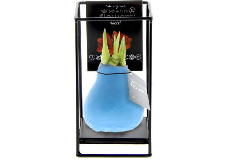 No Water Flowers® - Formz industrial
