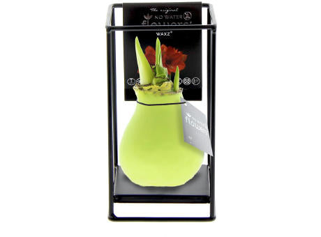 No Water Flowers® - Formz industrial