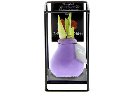 No Water Flowers® - Formz industrial