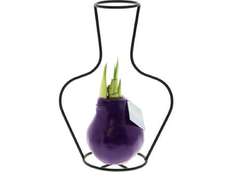No Water Flowers® - Formz classic