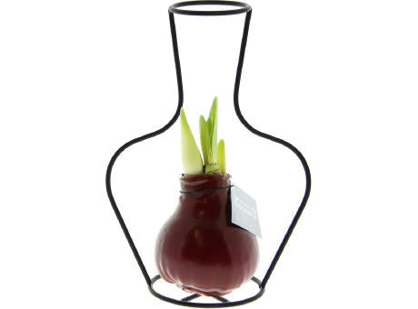 No Water Flowers® - Formz classic