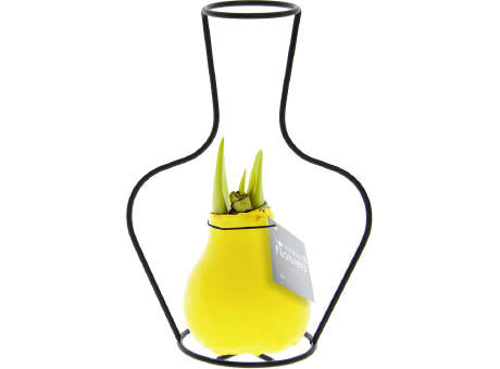 No Water Flowers® - Formz classic