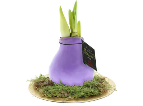 No Water Flowers® - Waxz® on golden dish