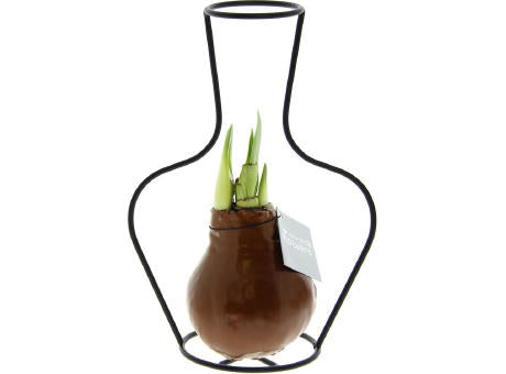 No Water Flowers® - Formz classic