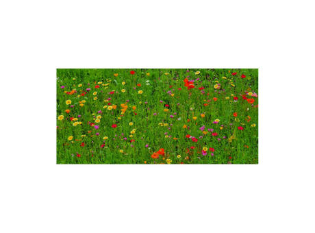 Geschenkartikel / Präsentartikel: Bienenweide im Oster-Eierkarton, 6 bunte Samenbomben