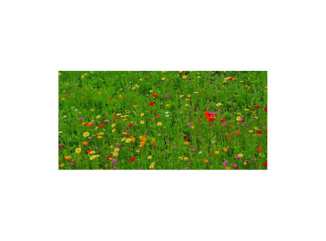 Geschenkartikel / Präsentartikel: Bienenweide im Oster-Eierkarton, 6 bunte Samenbomben