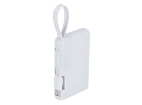 Power Bank Brandin